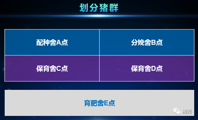 PAÆì½¢Ìüƽ̨(ÖйúÇø)¹Ù·½ÍøÕ¾-PA PlayAce