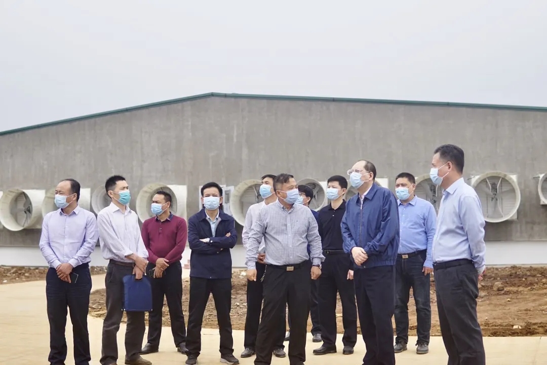 PA�콢��ƽ̨(�й���)�ٷ���վ-PA PlayAce