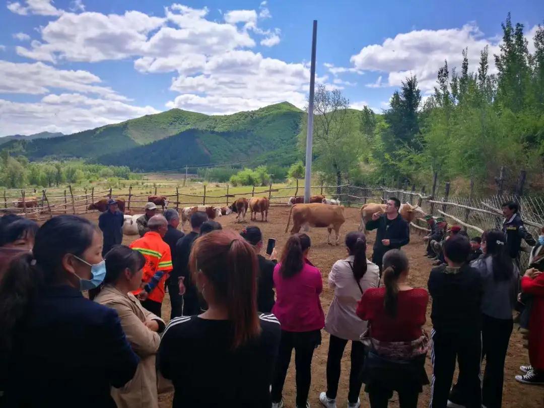 PA旗舰厅平台(中国区)官方网站-PA PlayAce