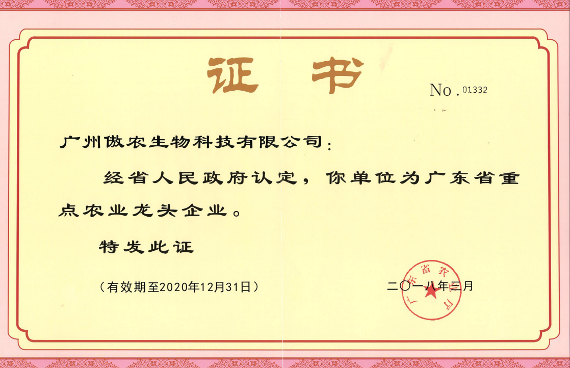 PA�콢��ƽ̨(�й���)�ٷ���վ-PA PlayAce