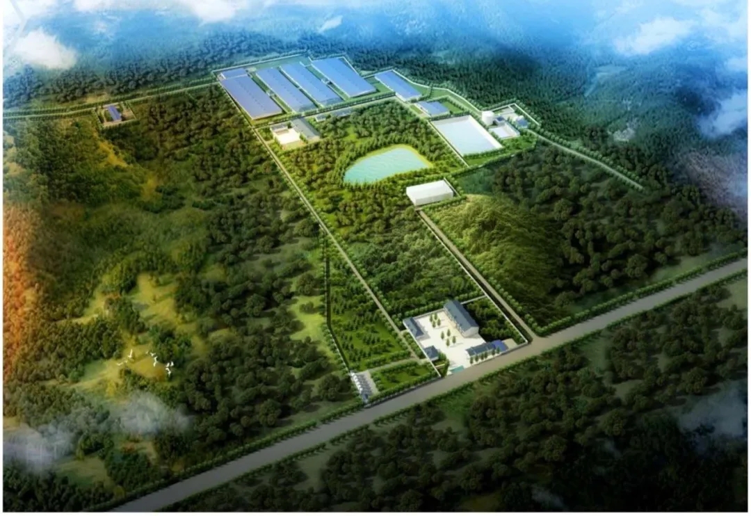 PA�콢��ƽ̨(�й���)�ٷ���վ-PA PlayAce