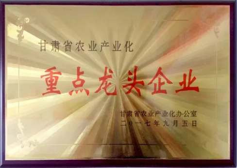 PA�콢��ƽ̨(�й���)�ٷ���վ-PA PlayAce