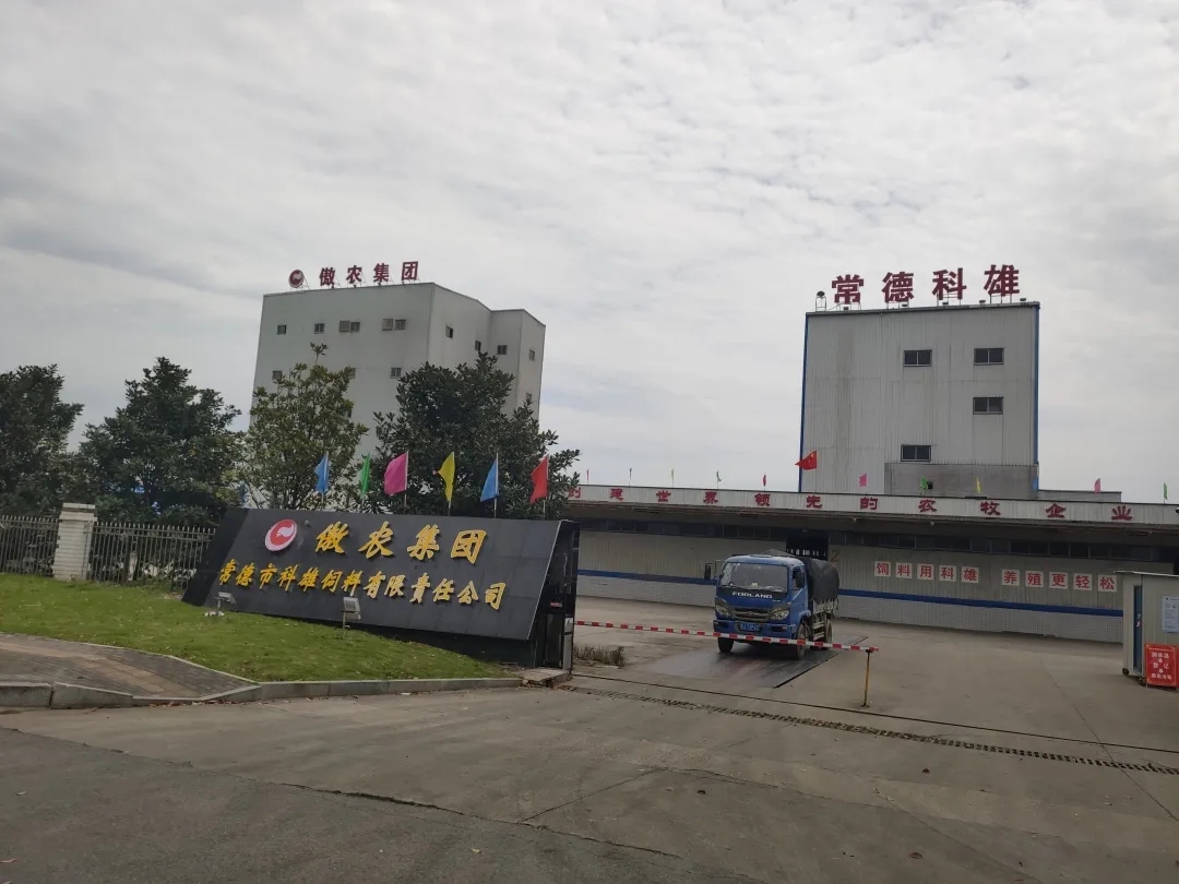 PA�콢��ƽ̨(�й���)�ٷ���վ-PA PlayAce