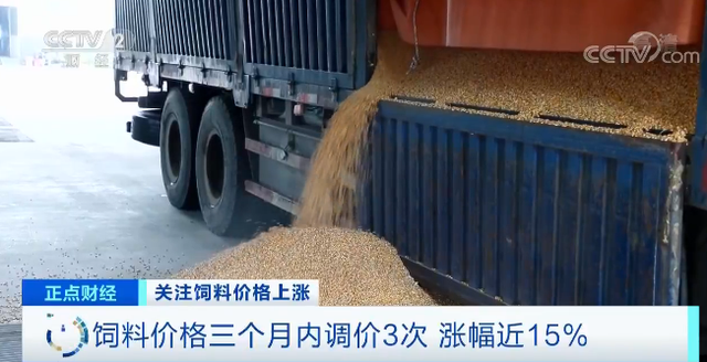 PA�콢��ƽ̨(�й���)�ٷ���վ-PA PlayAce