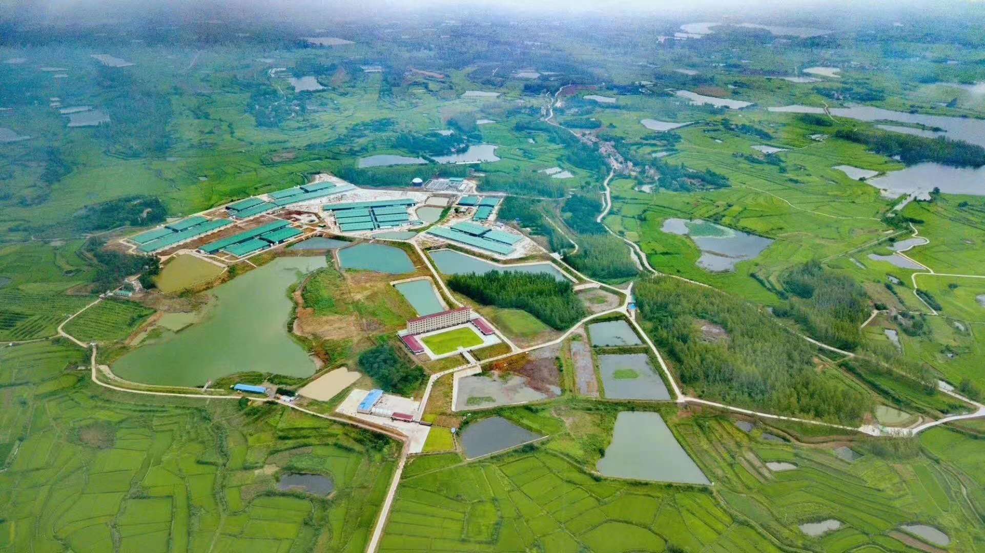 PAÆì½¢Ìüƽ̨(ÖйúÇø)¹Ù·½ÍøÕ¾-PA PlayAce