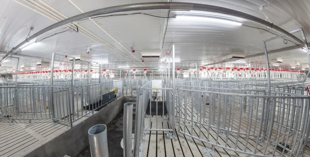 PA�콢��ƽ̨(�й���)�ٷ���վ-PA PlayAce