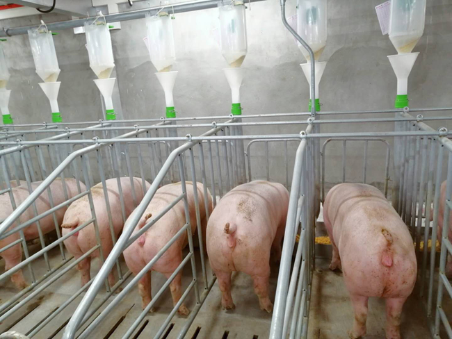 PA�콢��ƽ̨(�й���)�ٷ���վ-PA PlayAce