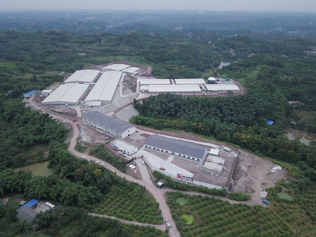 PA�콢��ƽ̨(�й���)�ٷ���վ-PA PlayAce