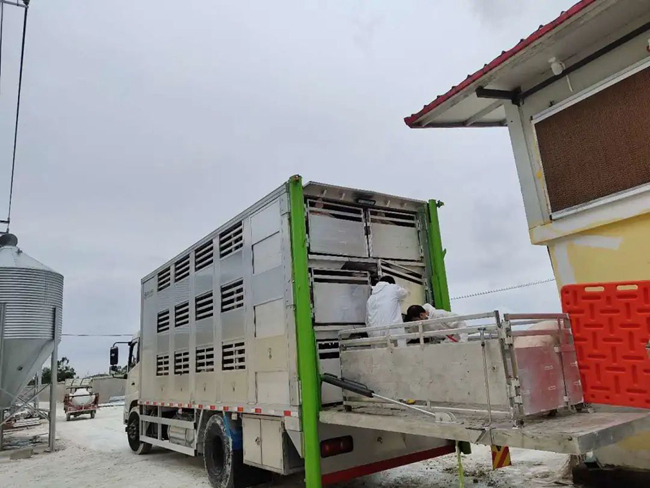 PA�콢��ƽ̨(�й���)�ٷ���վ-PA PlayAce