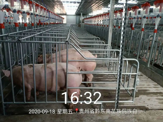 PA旗舰厅平台(中国区)官方网站-PA PlayAce