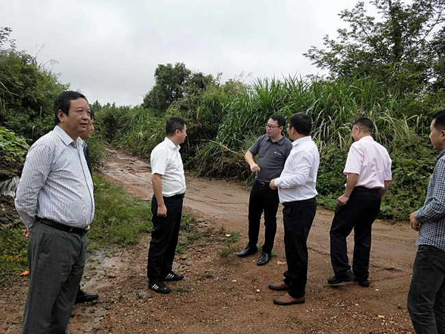 PA�콢��ƽ̨(�й���)�ٷ���վ-PA PlayAce