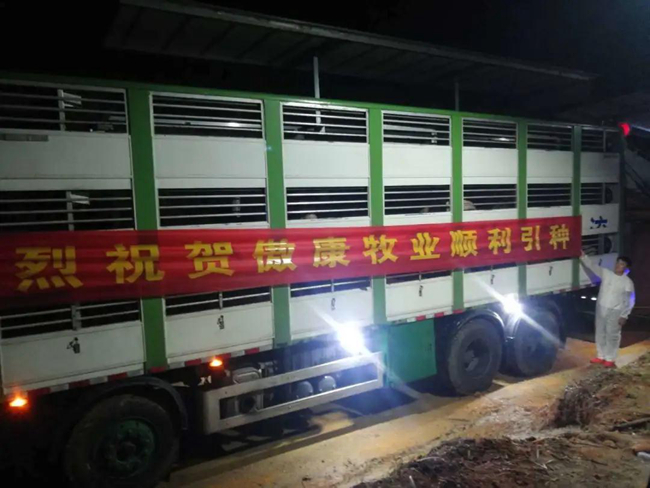 PA�콢��ƽ̨(�й���)�ٷ���վ-PA PlayAce