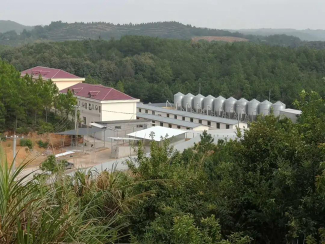 PA�콢��ƽ̨(�й���)�ٷ���վ-PA PlayAce