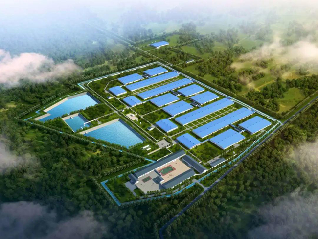 PA�콢��ƽ̨(�й���)�ٷ���վ-PA PlayAce