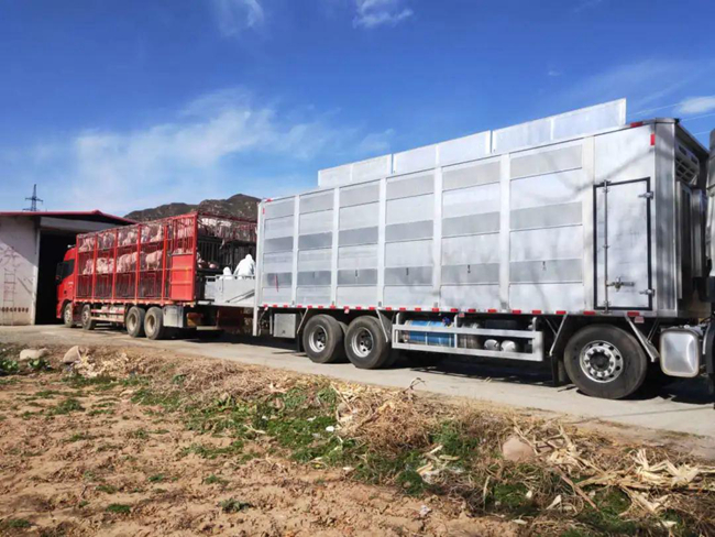 PA�콢��ƽ̨(�й���)�ٷ���վ-PA PlayAce