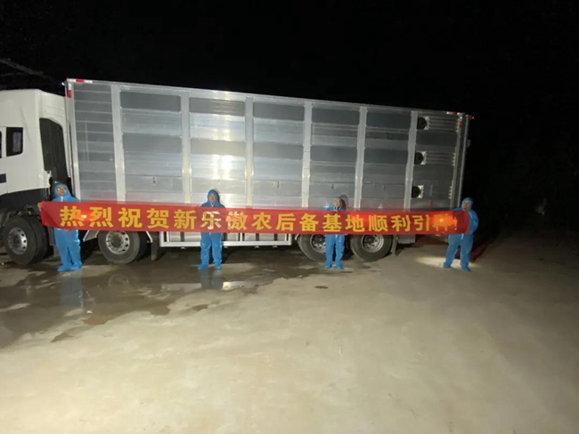 PA�콢��ƽ̨(�й���)�ٷ���վ-PA PlayAce