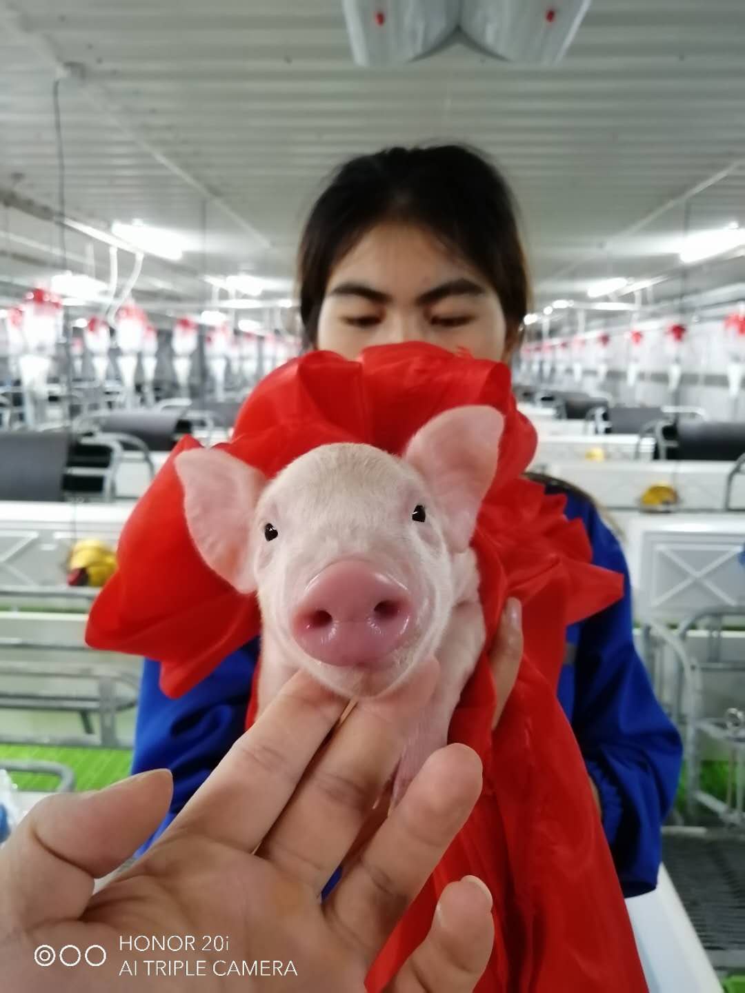 PA�콢��ƽ̨(�й���)�ٷ���վ-PA PlayAce