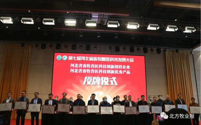 PA�콢��ƽ̨(�й���)�ٷ���վ-PA PlayAce