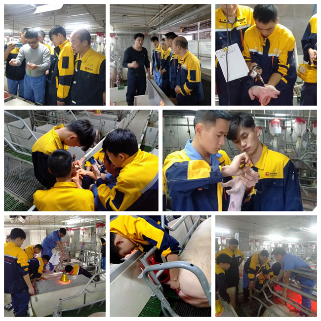 PA�콢��ƽ̨(�й���)�ٷ���վ-PA PlayAce