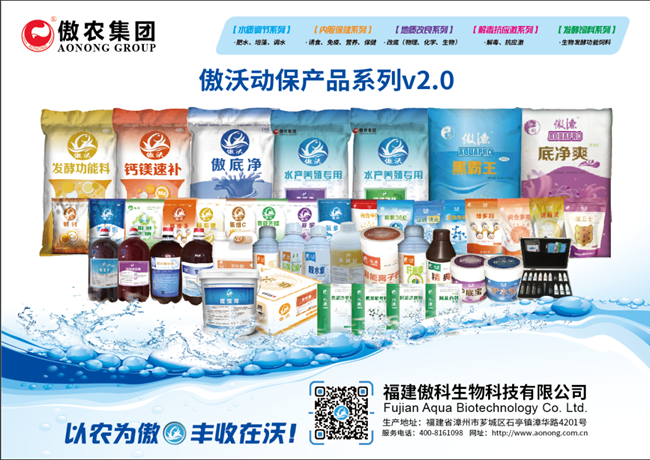 PA�콢��ƽ̨(�й���)�ٷ���վ-PA PlayAce