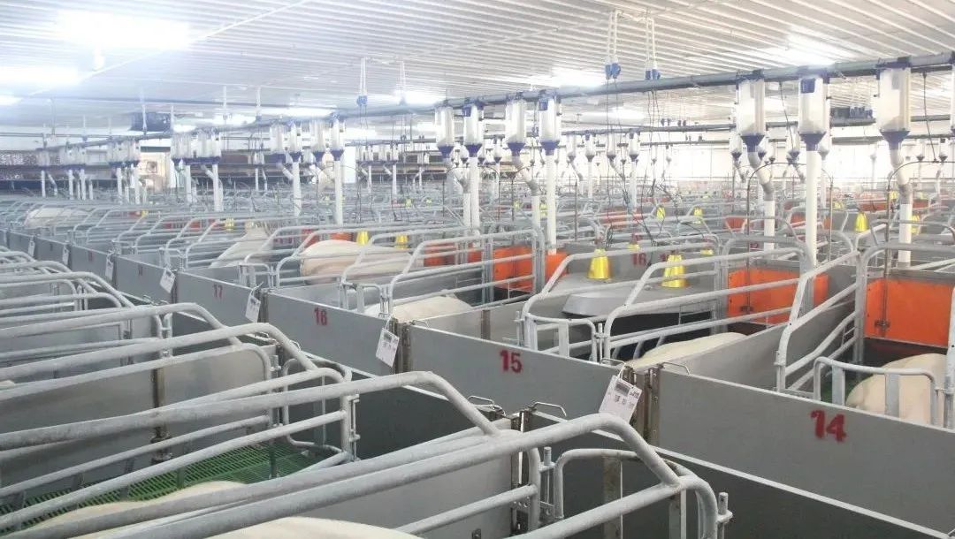 PA�콢��ƽ̨(�й���)�ٷ���վ-PA PlayAce