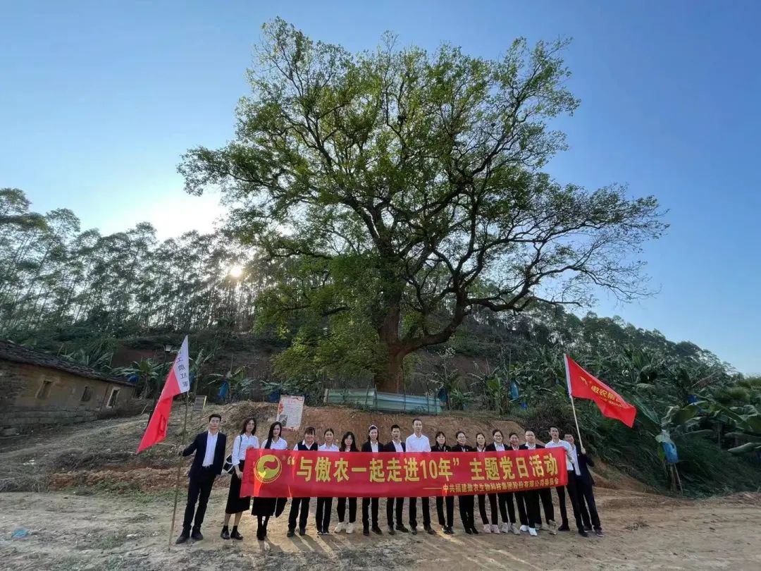 PA�콢��ƽ̨(�й���)�ٷ���վ-PA PlayAce