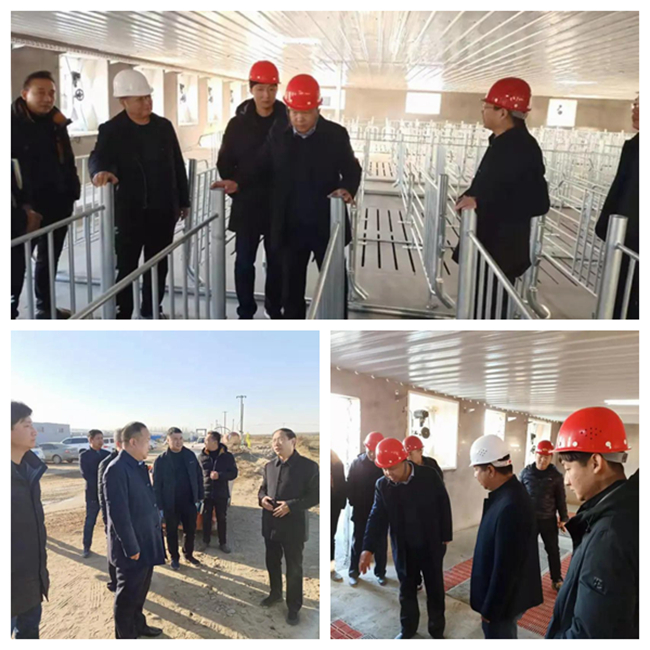 PA旗舰厅平台(中国区)官方网站-PA PlayAce