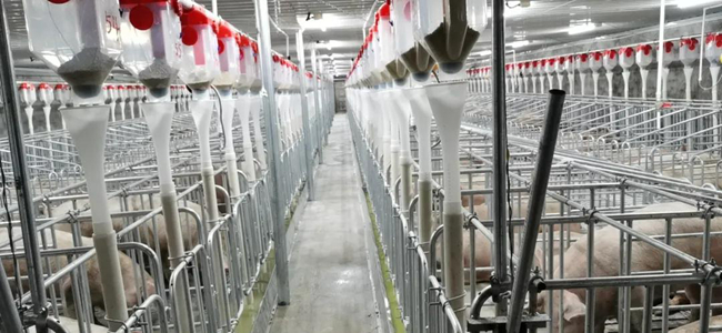 PA�콢��ƽ̨(�й���)�ٷ���վ-PA PlayAce