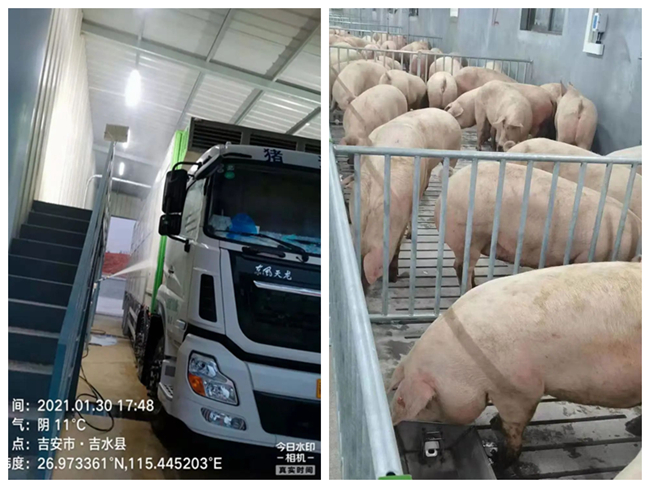 PAÆì½¢Ìüƽ̨(ÖйúÇø)¹Ù·½ÍøÕ¾-PA PlayAce