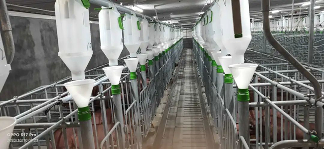 PAÆì½¢Ìüƽ̨(ÖйúÇø)¹Ù·½ÍøÕ¾-PA PlayAce