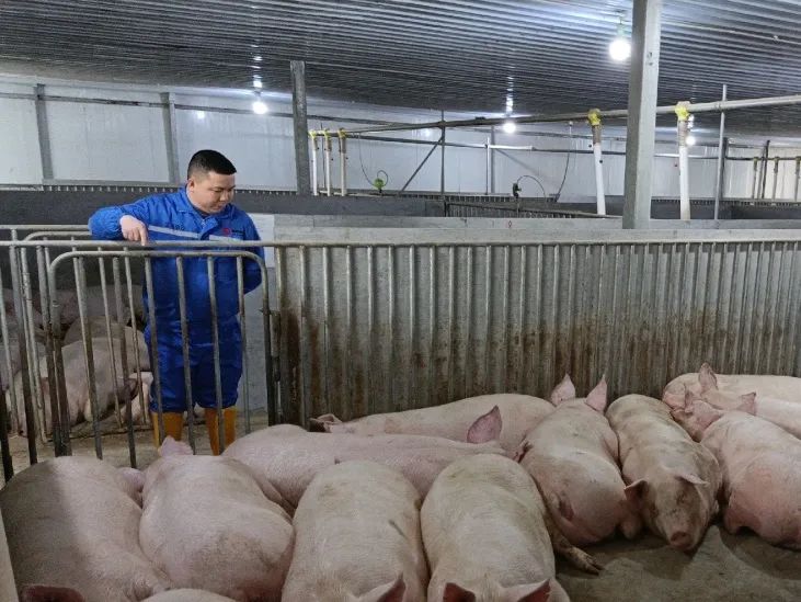 PA�콢��ƽ̨(�й���)�ٷ���վ-PA PlayAce