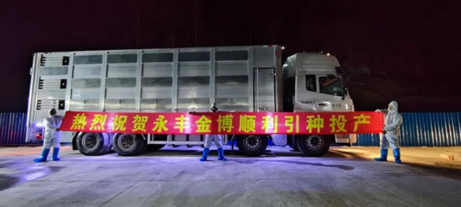 PA�콢��ƽ̨(�й���)�ٷ���վ-PA PlayAce