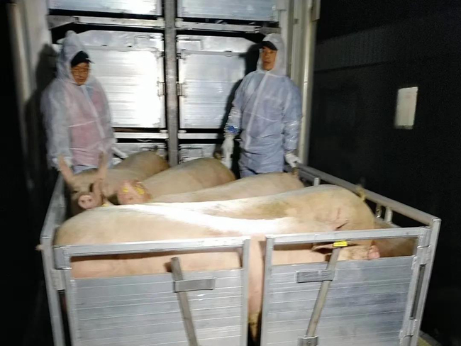 PA�콢��ƽ̨(�й���)�ٷ���վ-PA PlayAce