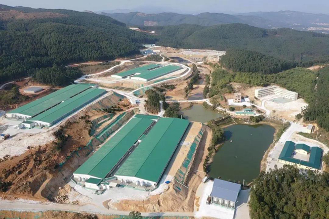 PA�콢��ƽ̨(�й���)�ٷ���վ-PA PlayAce