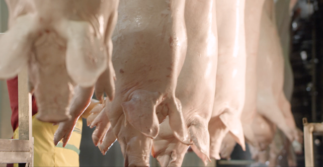 PA�콢��ƽ̨(�й���)�ٷ���վ-PA PlayAce