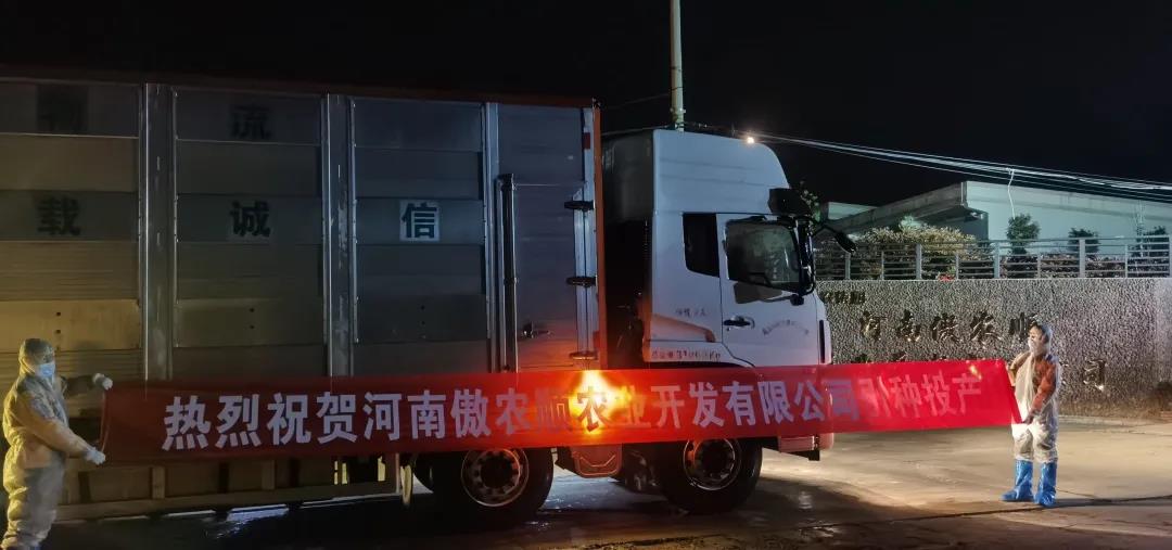 PA�콢��ƽ̨(�й���)�ٷ���վ-PA PlayAce