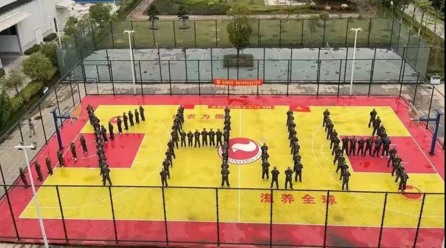 PA�콢��ƽ̨(�й���)�ٷ���վ-PA PlayAce