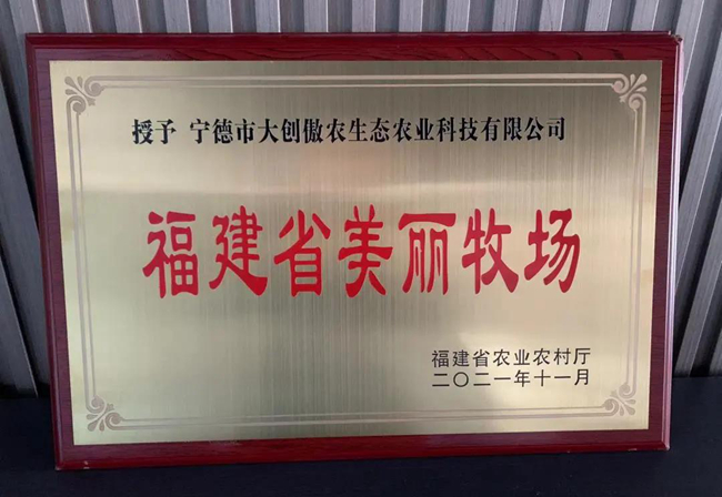 PA�콢��ƽ̨(�й���)�ٷ���վ-PA PlayAce