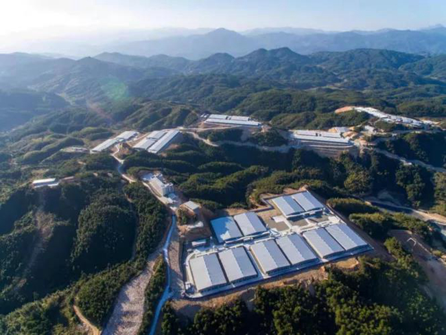 PA�콢��ƽ̨(�й���)�ٷ���վ-PA PlayAce