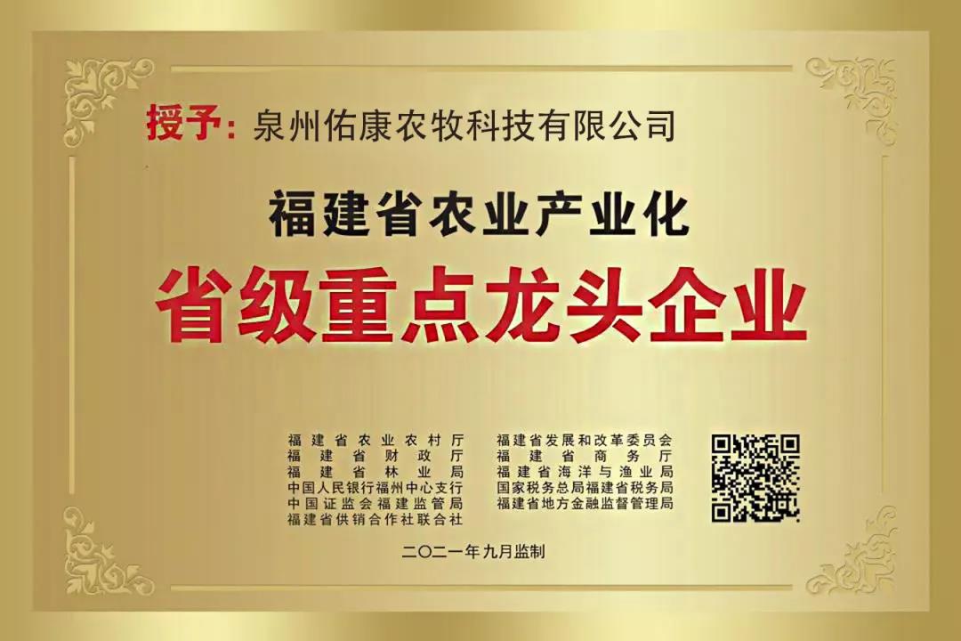 PA�콢��ƽ̨(�й���)�ٷ���վ-PA PlayAce