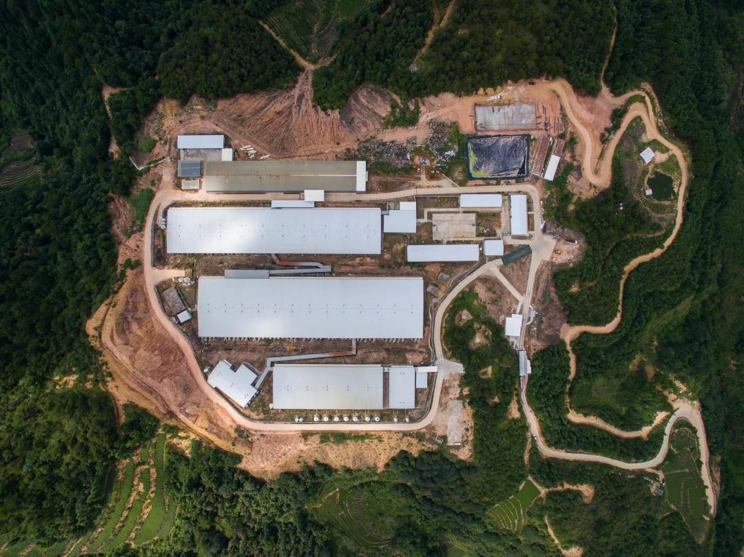 PA�콢��ƽ̨(�й���)�ٷ���վ-PA PlayAce