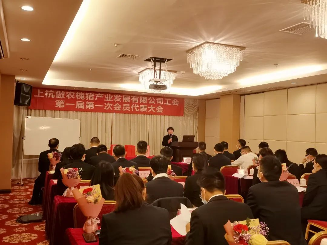 PA�콢��ƽ̨(�й���)�ٷ���վ-PA PlayAce