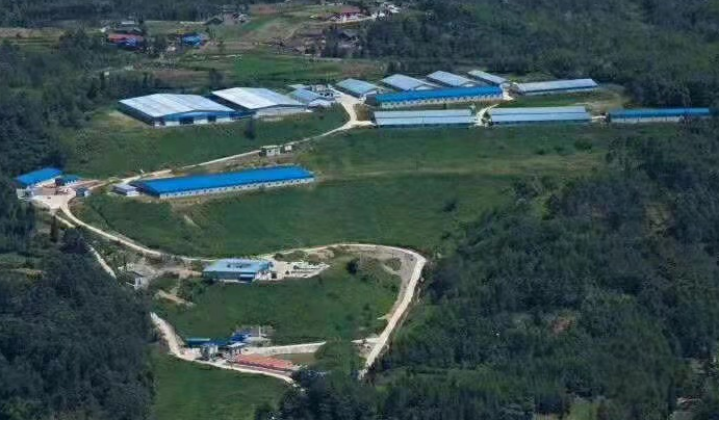 PA�콢��ƽ̨(�й���)�ٷ���վ-PA PlayAce