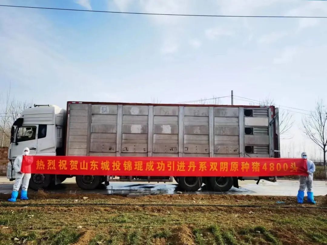 PAÆì½¢Ìüƽ̨(ÖйúÇø)¹Ù·½ÍøÕ¾-PA PlayAce