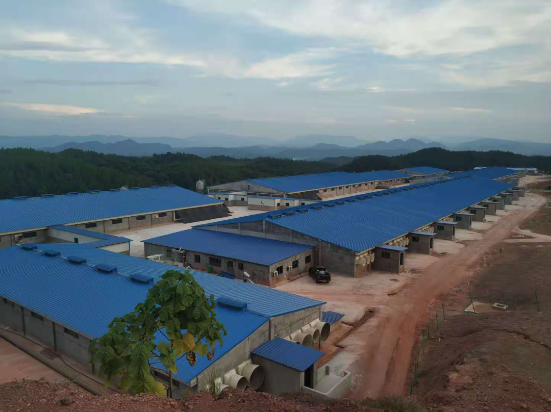 PAÆì½¢Ìüƽ̨(ÖйúÇø)¹Ù·½ÍøÕ¾-PA PlayAce