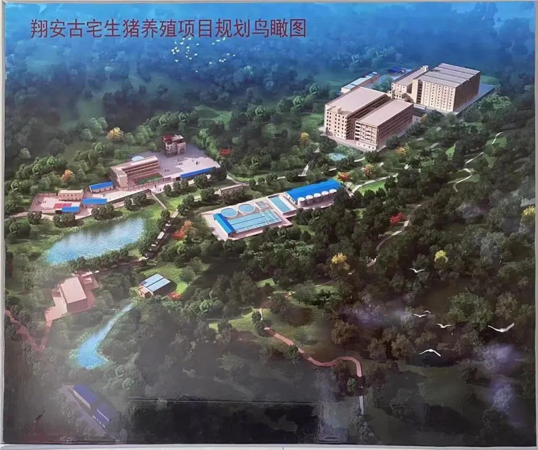 PA�콢��ƽ̨(�й���)�ٷ���վ-PA PlayAce