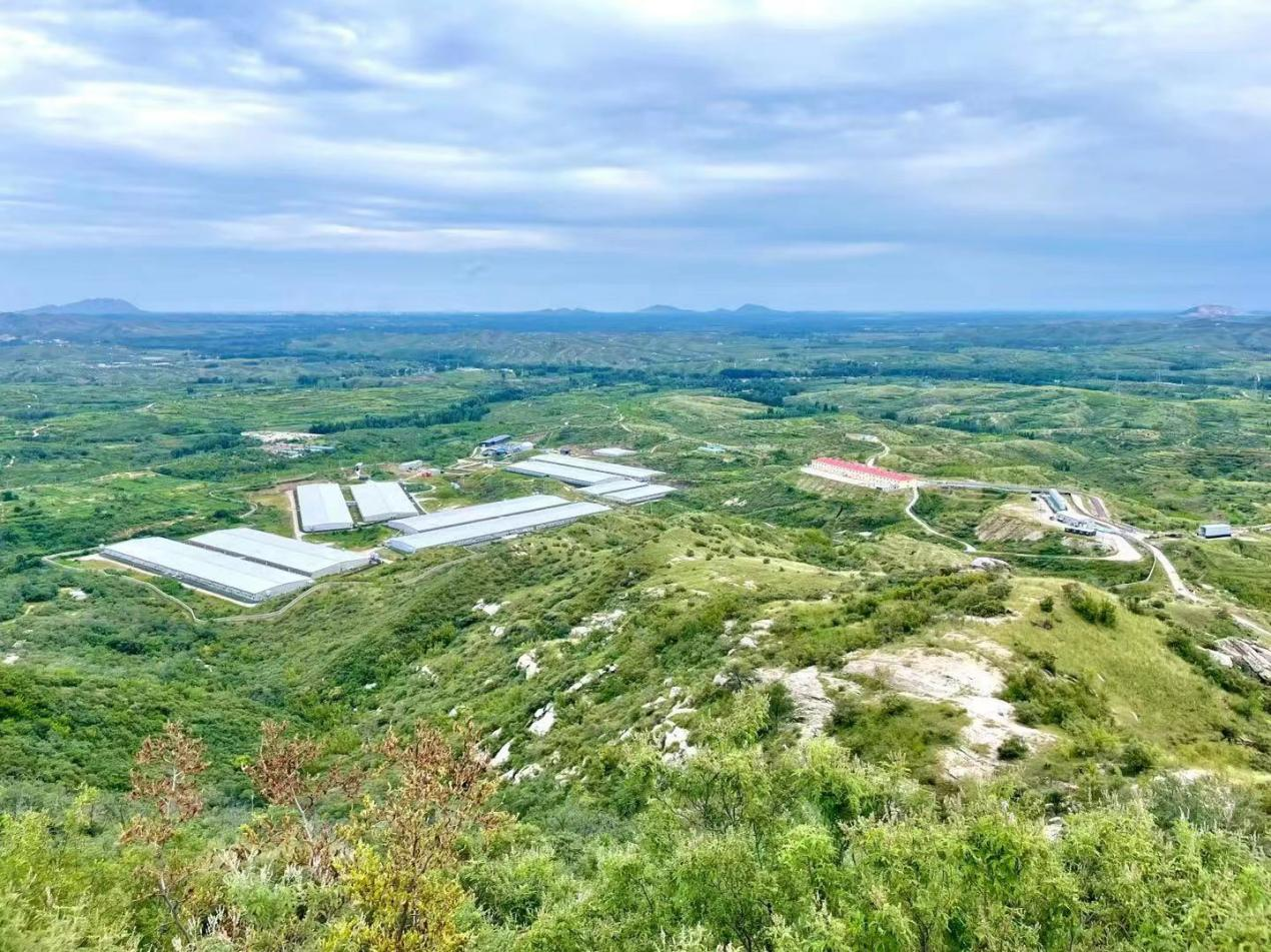 PA旗舰厅平台(中国区)官方网站-PA PlayAce