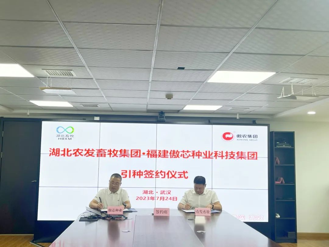 PA旗舰厅平台(中国区)官方网站-PA PlayAce