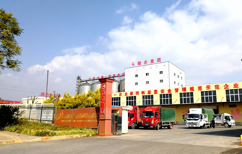 PA�콢��ƽ̨(�й���)�ٷ���վ-PA PlayAce