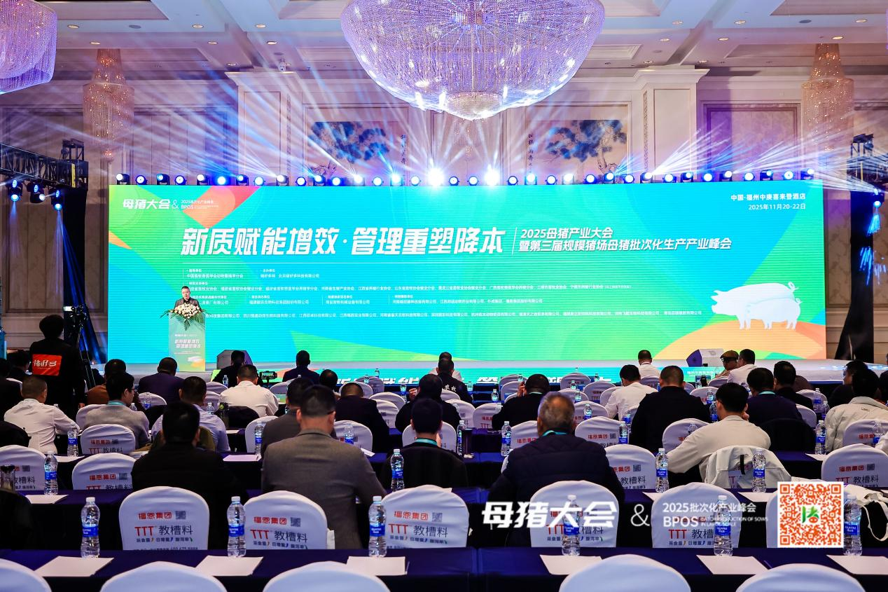 PA�콢��ƽ̨(�й���)�ٷ���վ-PA PlayAce